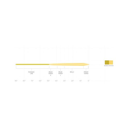 Scientific Anglers Mastery Infinity Fly Line - Diagram