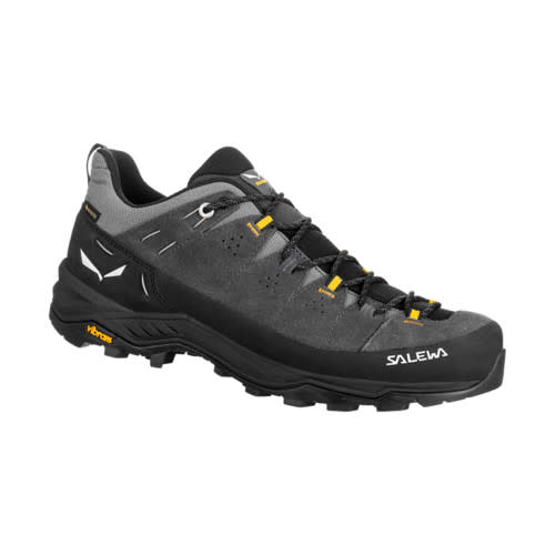 Salewa Alp Trainer 2 GTX Shoe - Onyx/Black