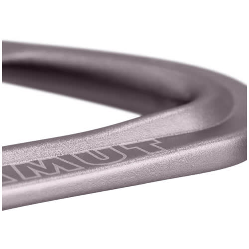 Mammut Workhorse Keylock - Grey Carabiner