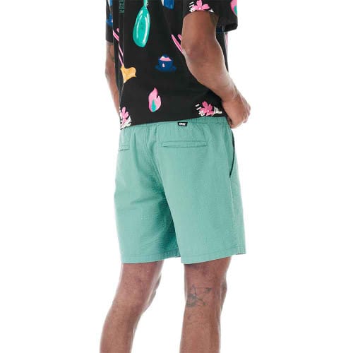 Picture Organic Narvik Shorts - Back