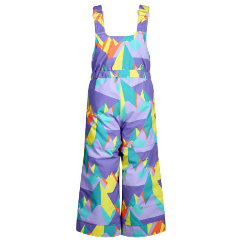 Obermeyer Snoverall Print Ski Bib Pant - Back