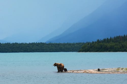 Insider's Guides to Every National Park