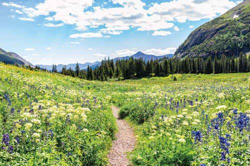 Backpacking Ice Lakes Basin: Big Views, Low Impact 