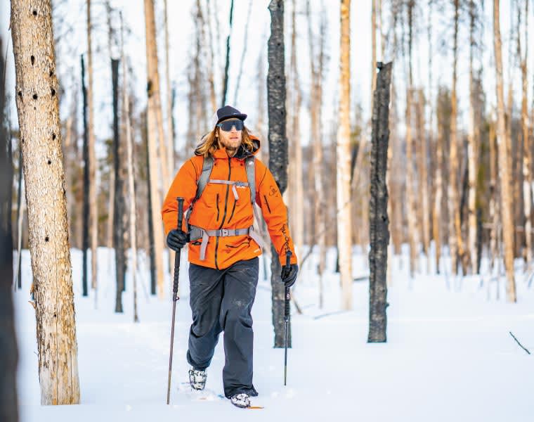 A skier touring through a forest