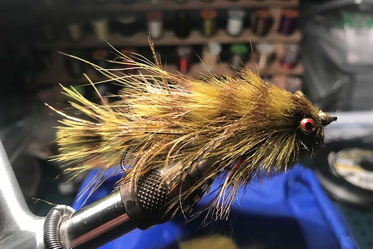 How to Catch a Monster Brown on the Fly - Campman