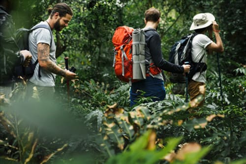 Insider's Guide to Big Bend National Park3
