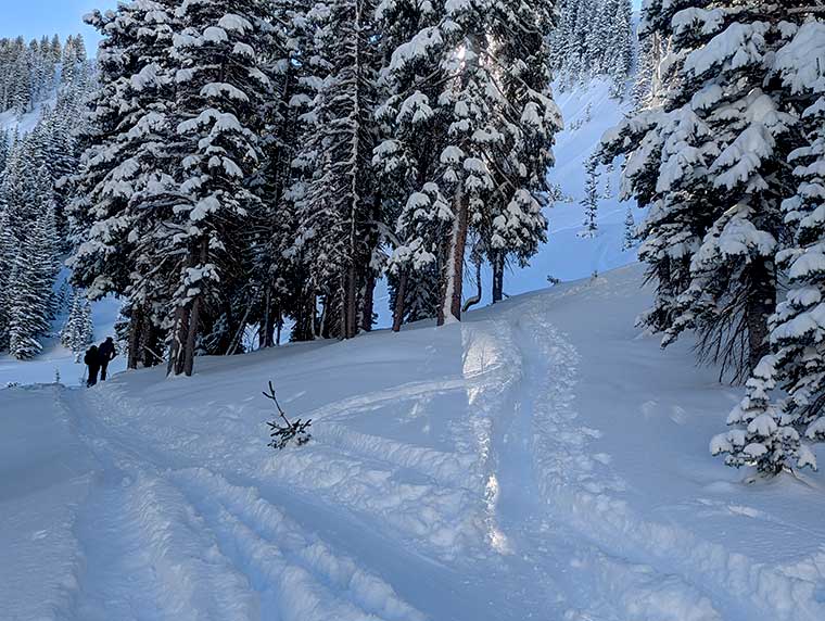 A snowy skintrack splitting in two different directions