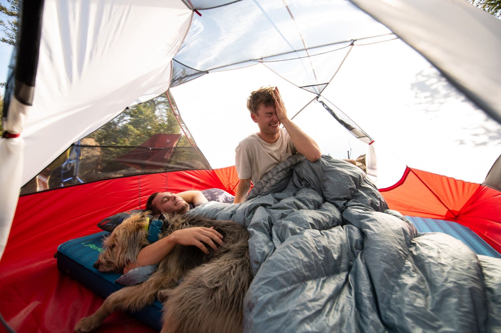 Two campers and their dog on the Mondoking in an MSR tent