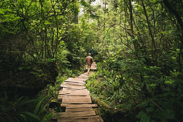 Hiker wearing the Howler Bros Merlin Jacket while walking in the forest