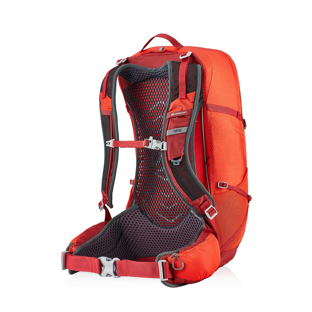 Gregory Citro 36 Daypack Men's Campman