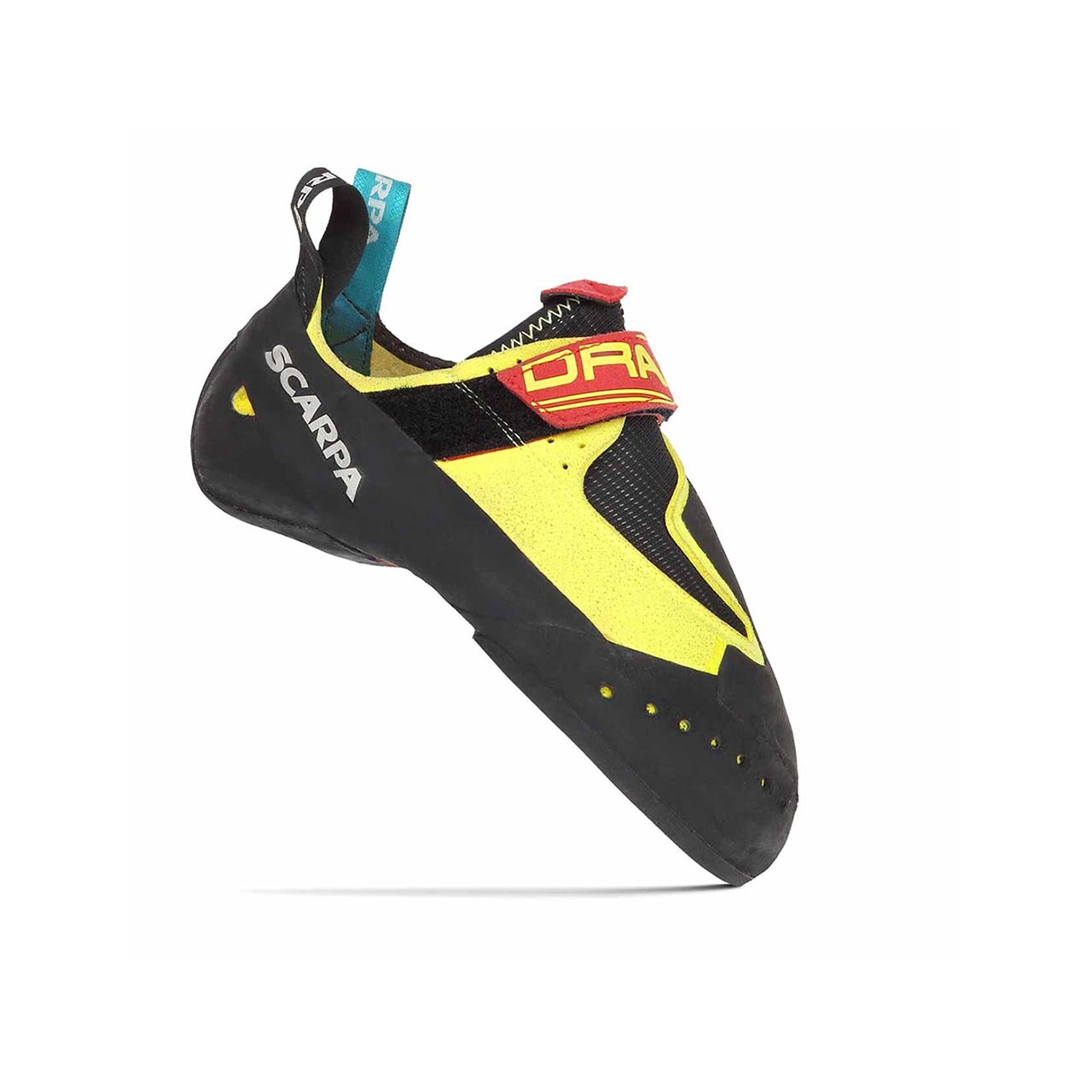 Gym climber on comp wall wearing Scarpa Drago