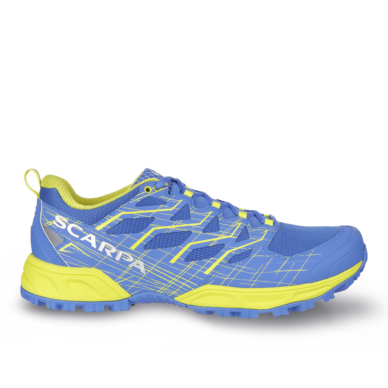 Scarpa neutron review 2025