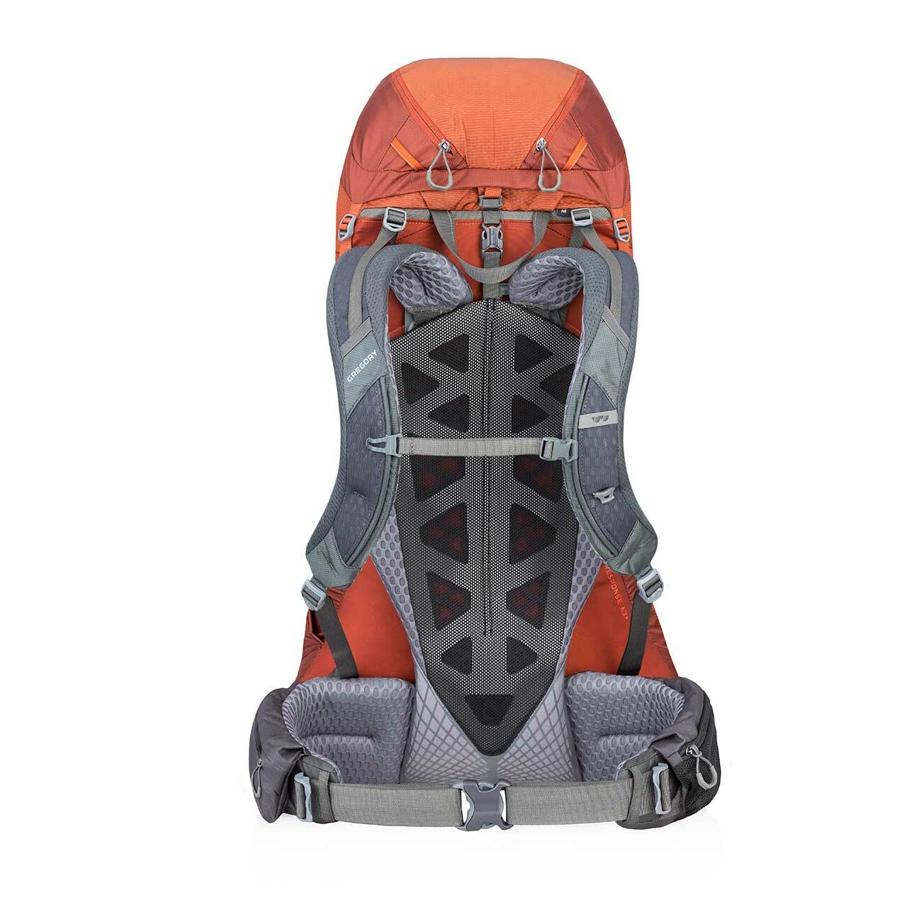 Gregory baltoro 75l backpack best sale