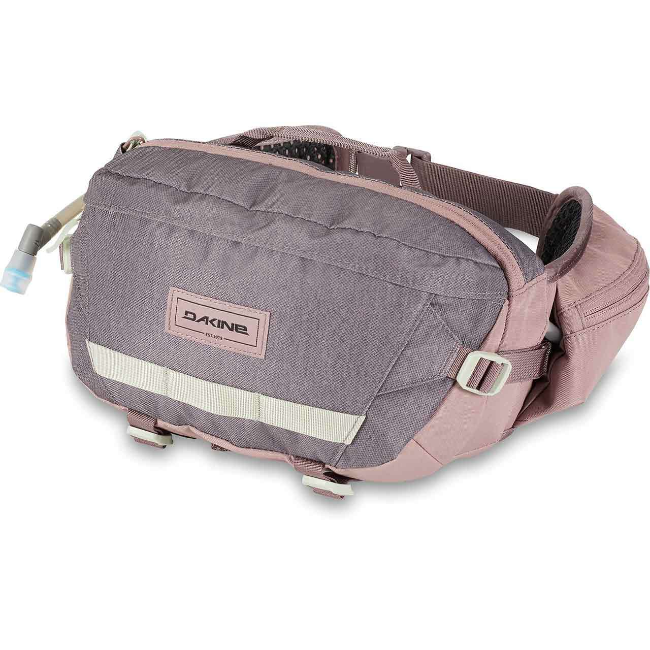 Dakine hot laps 2l hip pack discount