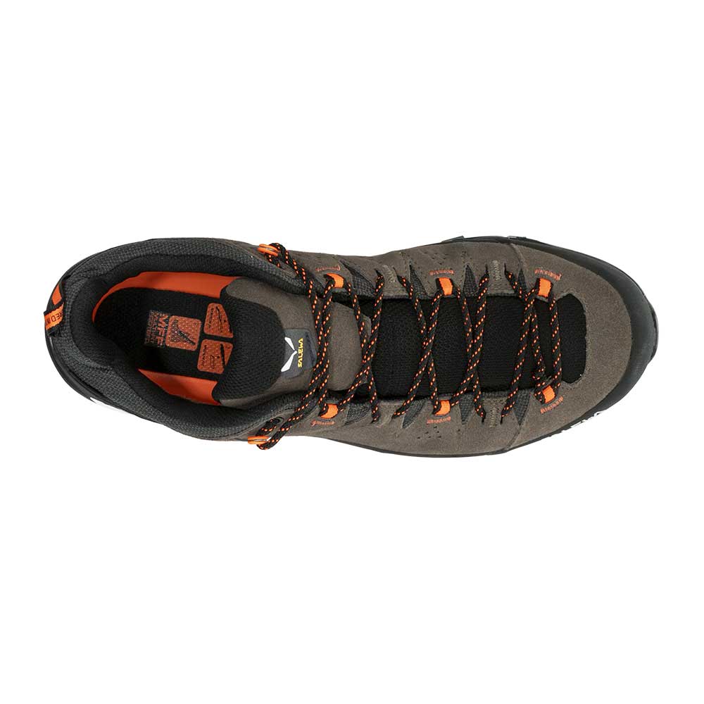 Salewa store alp trainer