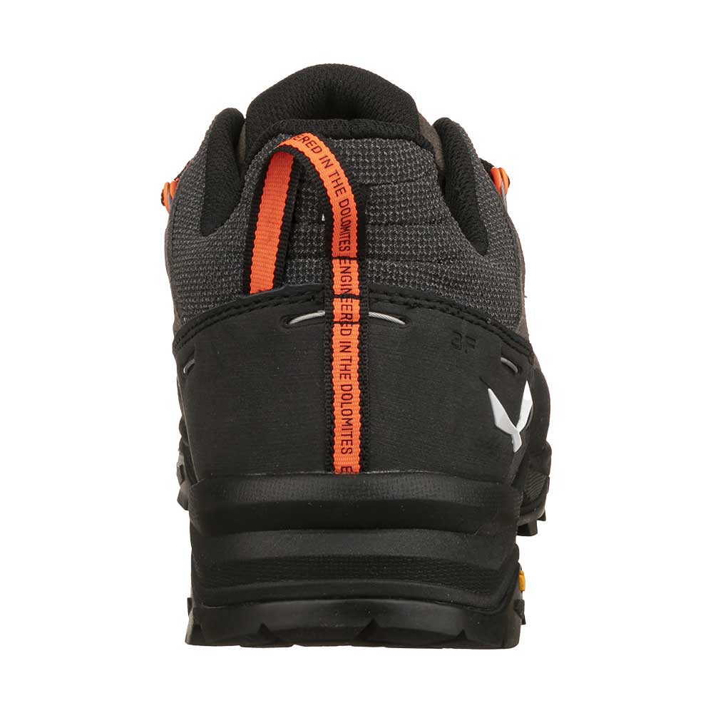 Alp Trainer 2 Gore-Tex® Shoe Men