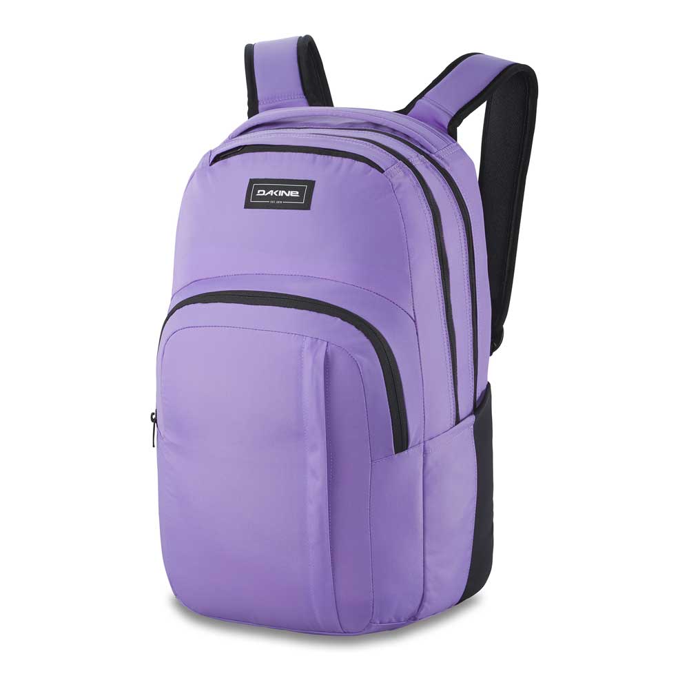 Dakine insulated backpack clearance