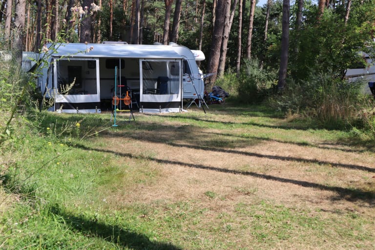 Stellplatz Komfort XXL