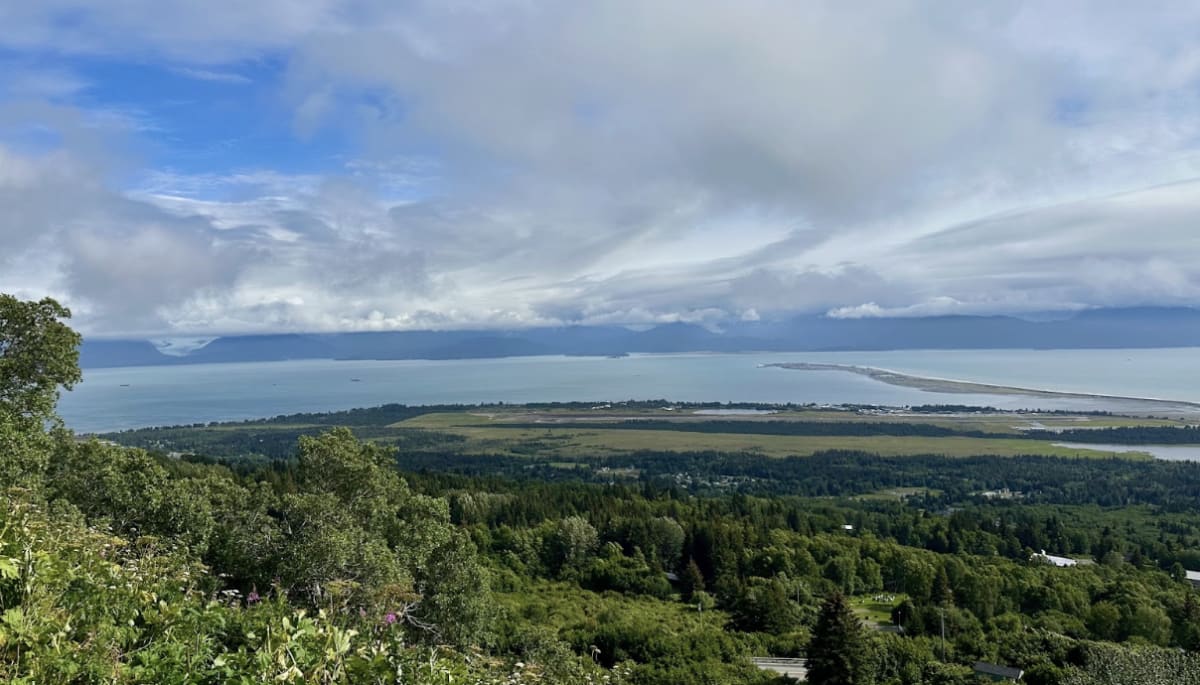 Homer mit Homer-Spucke von oben