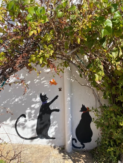 Der ultimative Roadtrip durch den Peloponnes: Von Patras nach Leonidi photo 4