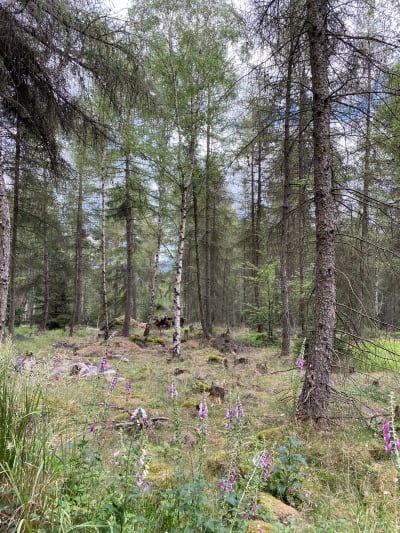 Tschechien – Böhmischer Bier-Roadtrip photo 1