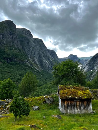 Scandinavia & Lofoten photo 4