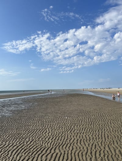 North Sea coast: From Sylt to Skagen photo 4