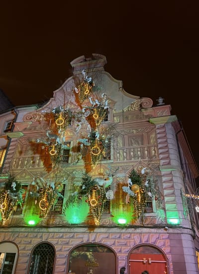 From Strasbourg to Colmar: Christmas Market Hopping photo 8