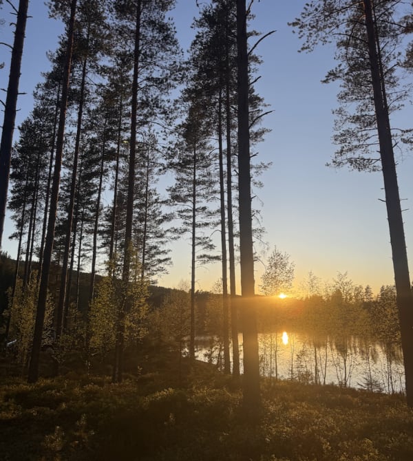 Finnland – Ultimativer Reiseführer für Wohnmobilreisen