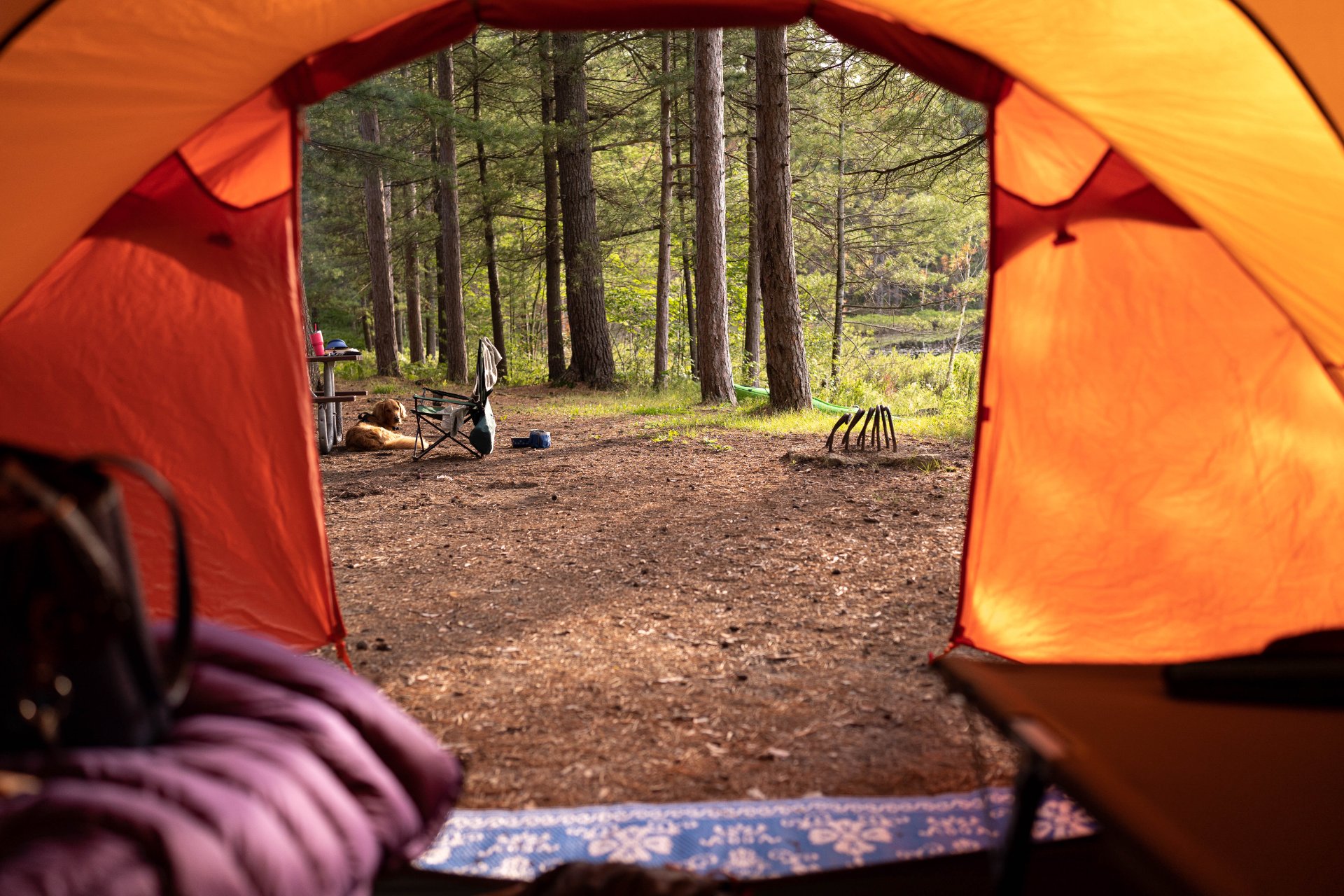 Dogfish Inn campground in Lewes Delaware
