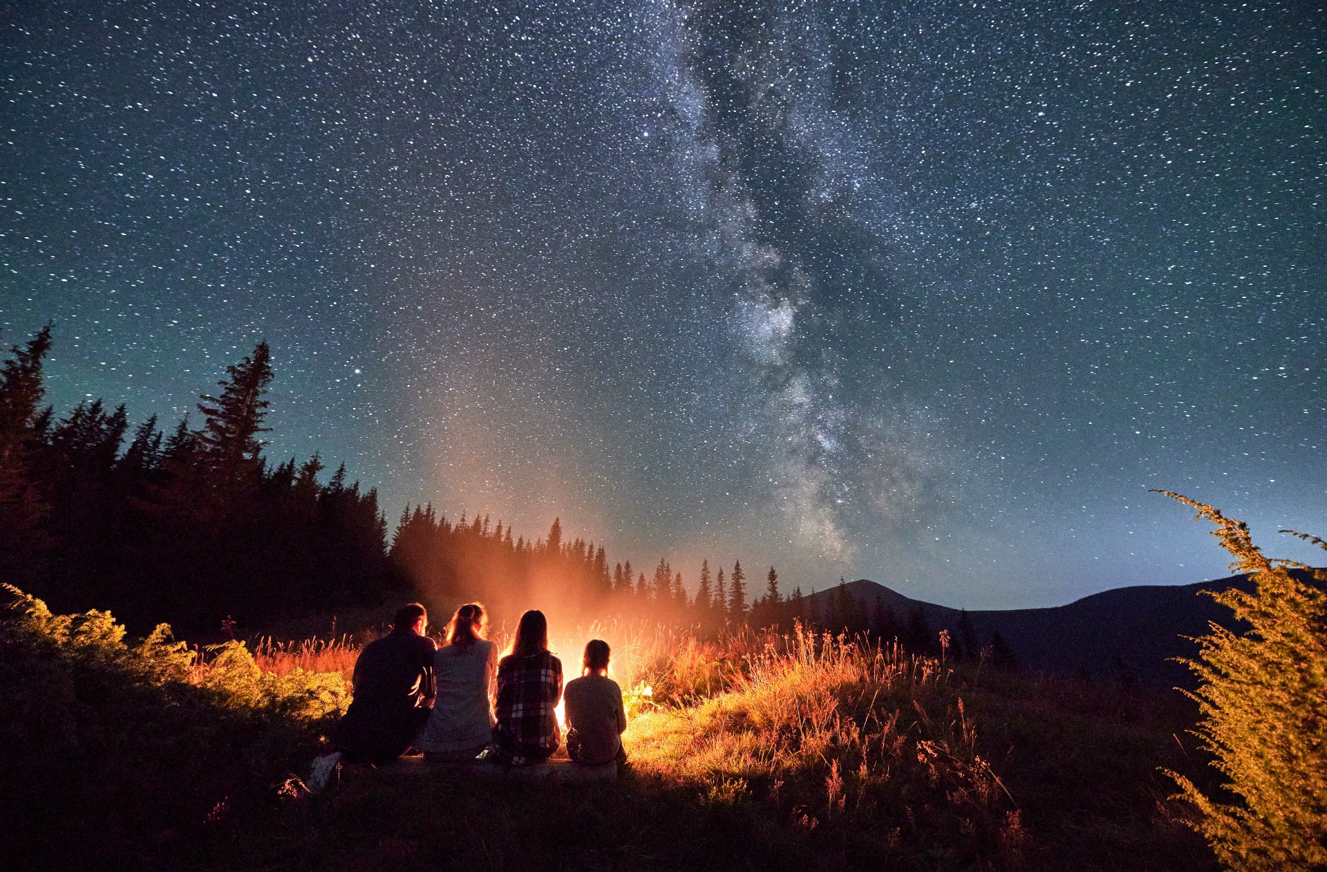 Fort Collins North / Wellington KOA Journey in Wellington - Featured Image