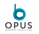 opus business consulting