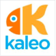 Kaleo Software