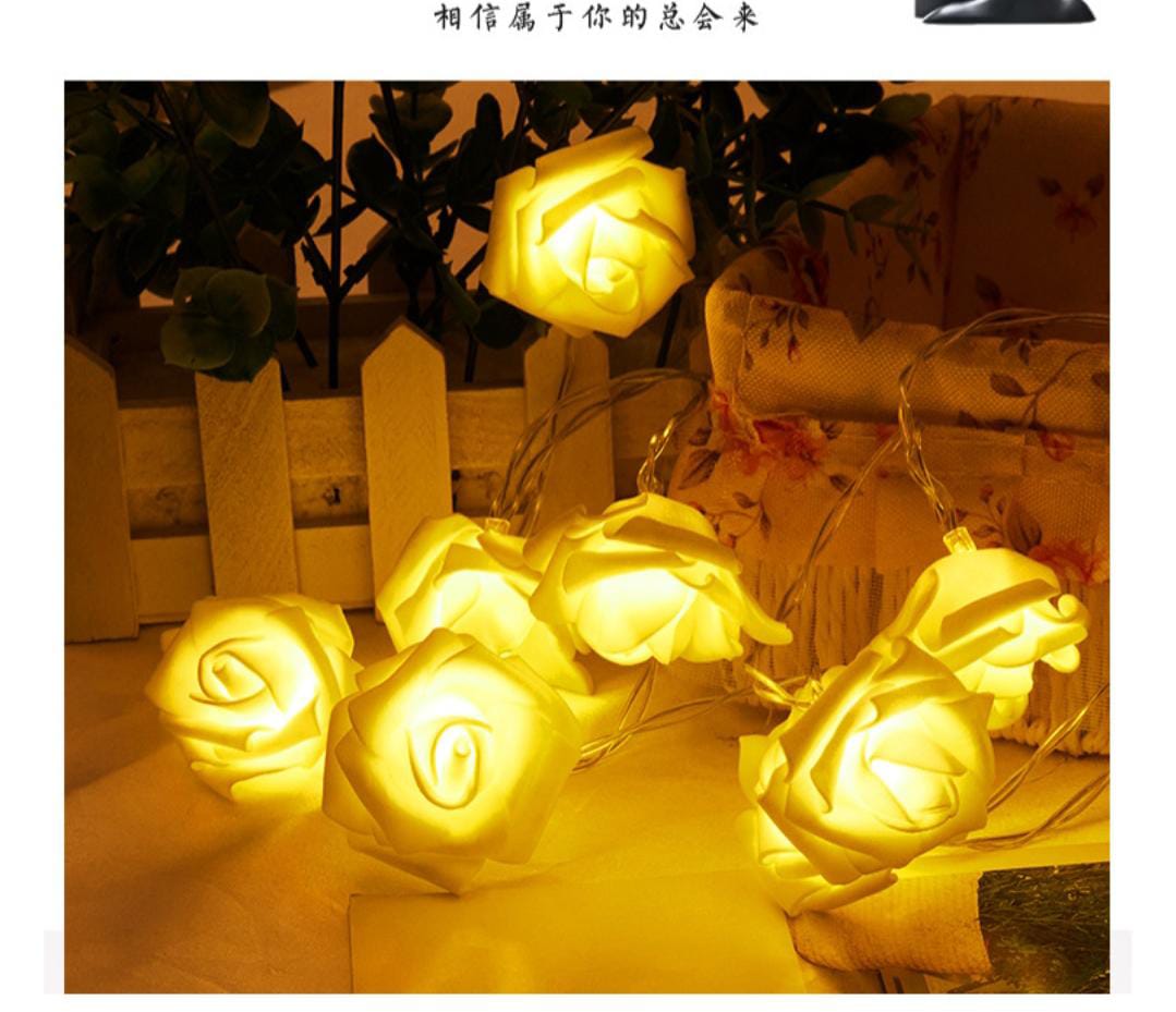 Rose Beautufying Led Light