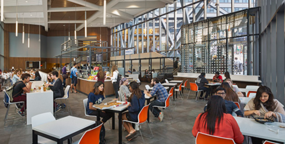 students eating and working in cafeteria