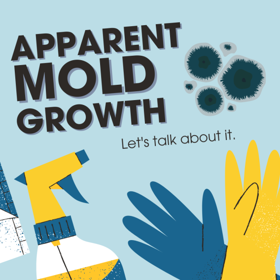Let's Talk About Mold A Guide for Parents on Owl Family Hub