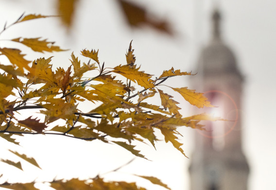 Autumn at Penn State IMAGE: PATRICK MANSELL