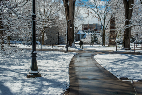 Campus snow Image by MICHELLE BIXBY