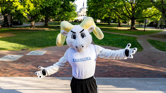 Rameses poses in front of a walkway