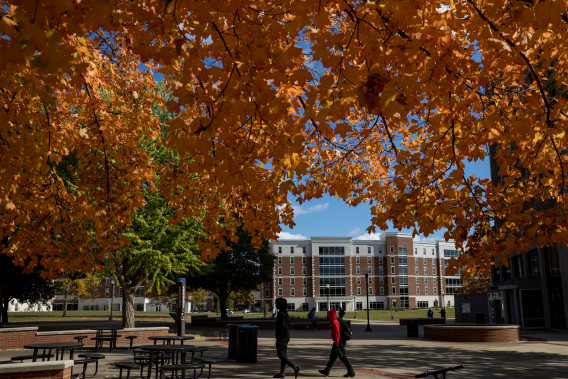 fall on campus