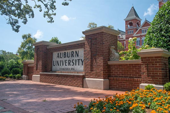 Auburn University Sign 