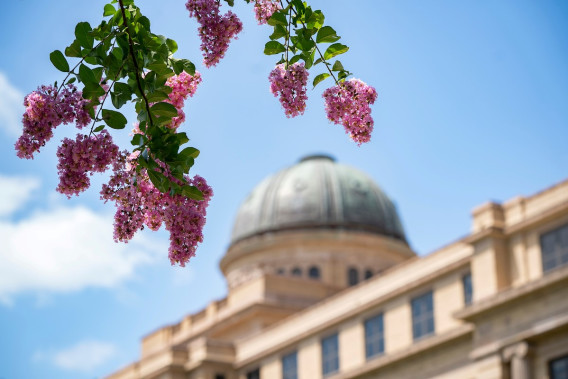 Flowers with the Texas A&M academic building in the background