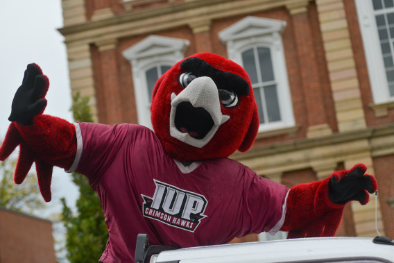 A mascot in a red and black bird costume wearing an "IUP Crimson Hawks" shirt poses in front of a brick building with white windows.