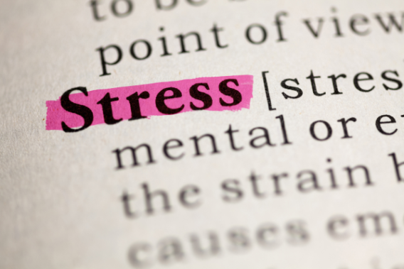 Close up "Stress" in the dictionary; "Stress" highlighted in bright pink