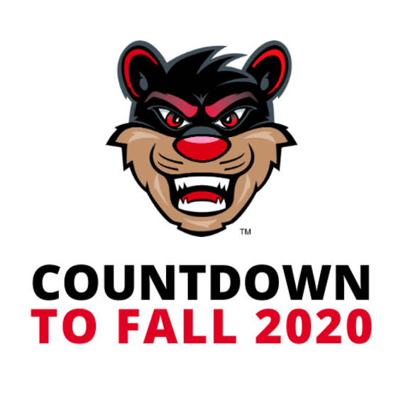 Archive of Weekly Family Emails: Countdown to Fall Semester