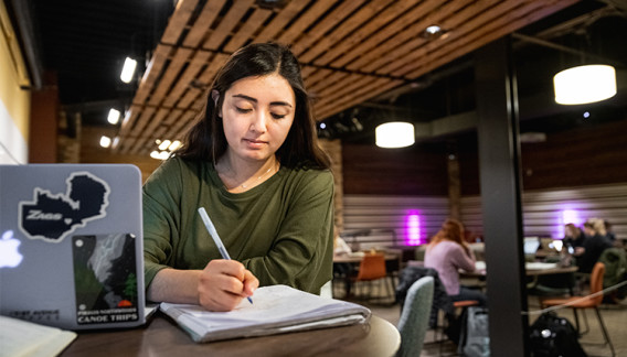 A student takes notes at her computer in the Hemm Den.