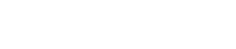 The Neumann Parent & Family Experience Logo