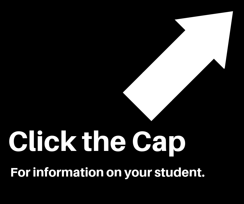 Access Your Student's Information...It's Easy!