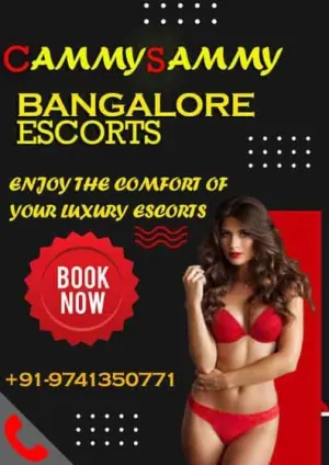 Bangalore Escorts service