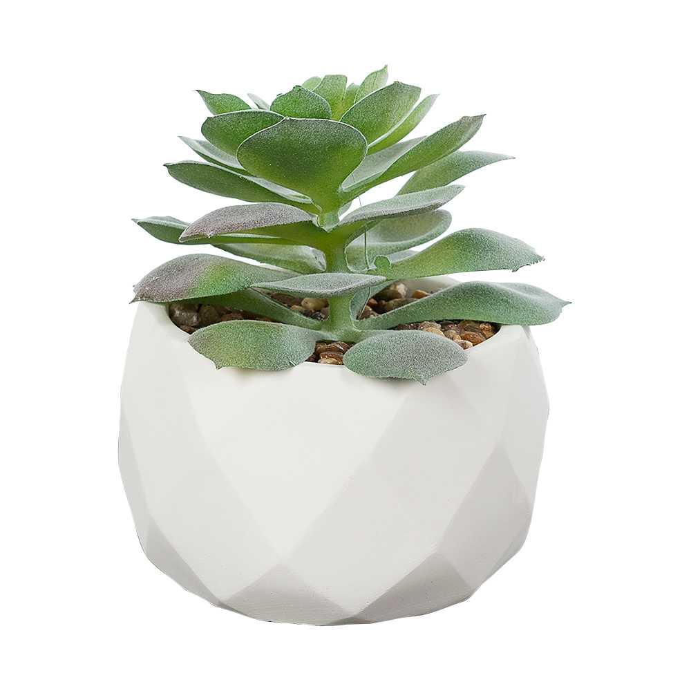 Plante artificielle succulente avec pot en ciment blanc VERTUO